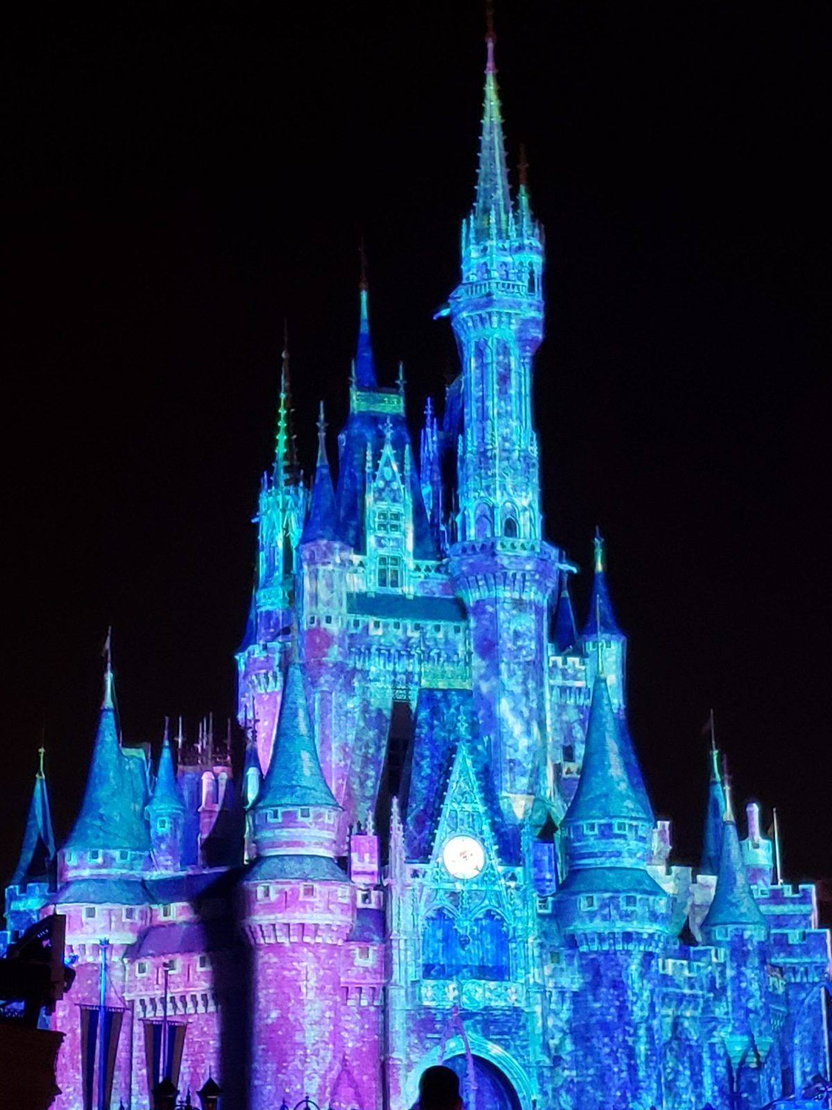 Polaroid 1 (largest): a favorite Walt Disney World photo, ideally your own family or a client family. Portrait.