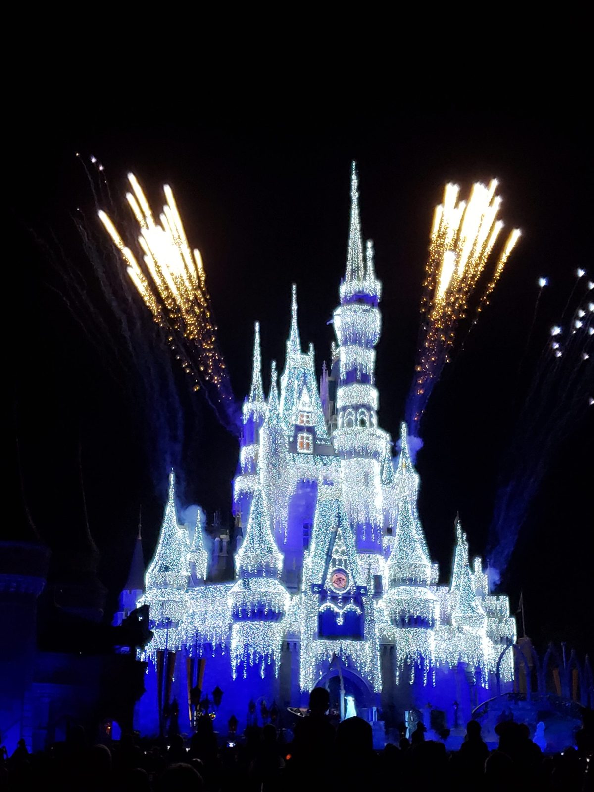Postcard: Walt Disney World, Cinderella Castle or a family in the park. Landscape.